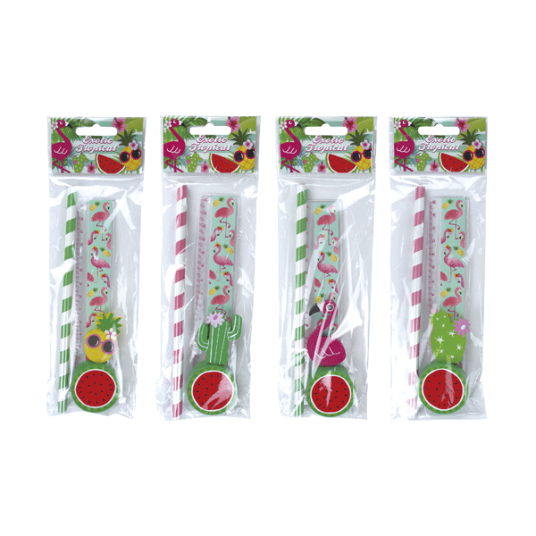 SET 4 PCS PAPELERiA TROPICAL EXOTIC