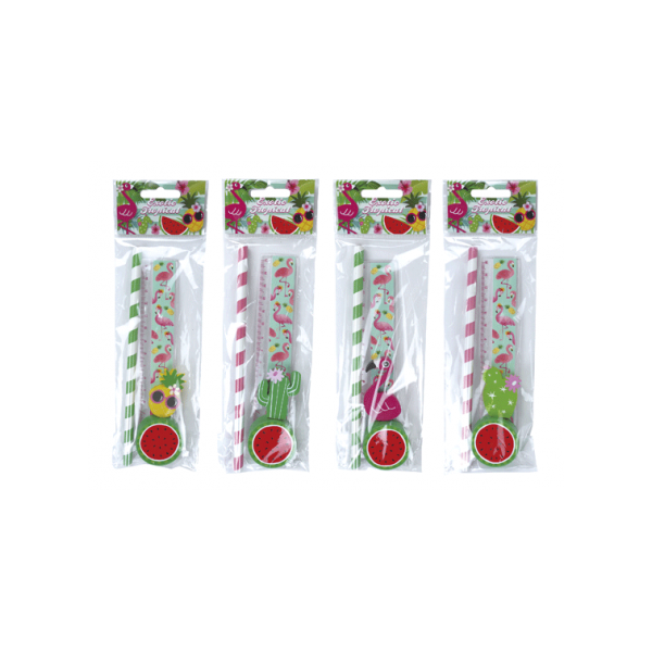 OFERTA LOTE DE 500 SET 4 PCS PAPELERiA TROPICAL EXOTIC